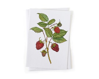 NEW: Raspberry Fruit Garden Botanical Illustration Card, Native Plants, Sustainably Printed Recycled Stationery