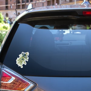 May include: A sticker of a green juniper branch with blue berries on a grey car.