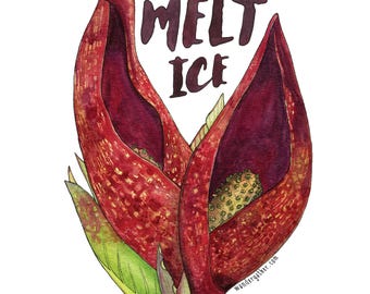 Melt Ice Skunk Cabbage Native Wetland Flower Waterproof Vinyl Sticker