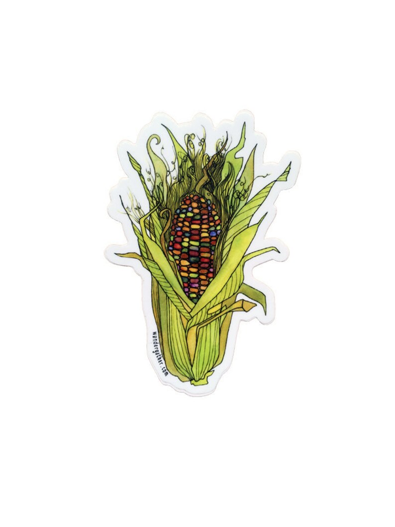 Maize Corn Vegetable Vinyl Sticker, Cute Funny Watercolor Illustration image 2