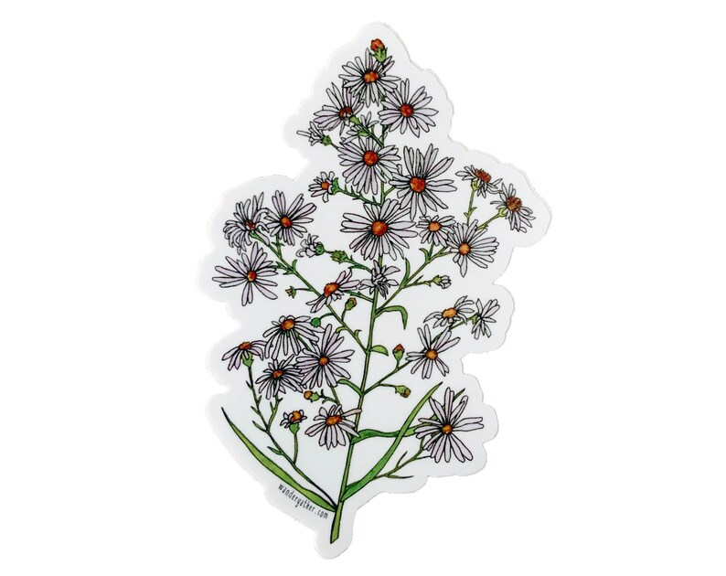 May include: A white sticker featuring a line drawing of a bunch of white flowers with orange centres on a green stem. The flowers are arranged in an upright bouquet shape. The sticker has the text "wandergather.com" at the bottom.