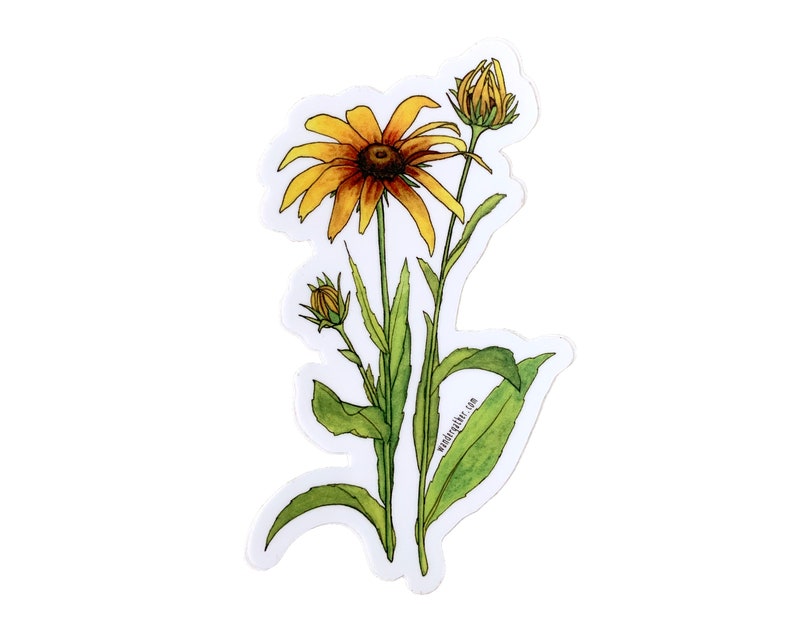 Rudbeckia Flor Flor Flor Etiqueta en vinilo, Ilustración de acuarela botánica imagen 2