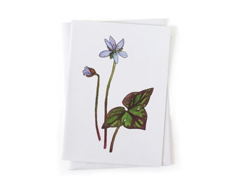 NEW: Hepatica Wildflower Botanical Illustration Card, Native Plants, Sustainably Printed Recycled Stationery