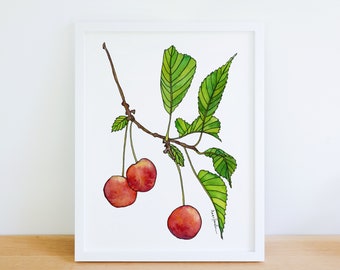 Cherry Fruit Colorful Branch 8x10 Archival Print