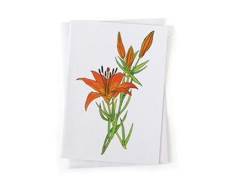 NEW: Wood Lily Summer Wildflower Botanical Illustration Card, Native Plants, Sustainably Printed Recycled Stationery