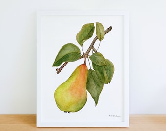 Pear Tree Fruit Branch 8x10 Archival Print