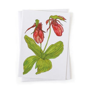 May include: A greeting card featuring a hand-drawn illustration of two pink lady slipper flowers with green leaves.
