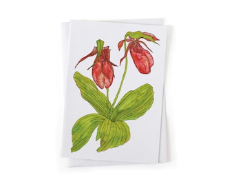 NEW: Pink Lady Slipper Orchid Wildflower Botanical Illustration Card, Native Plants, Sustainably Printed Recycled Stationery