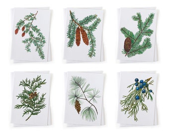 NEW: Winter Evergreen Trees Set of Six Botanical Illustration Card, Native Plants, Sustainably Printed Recycled Stationery