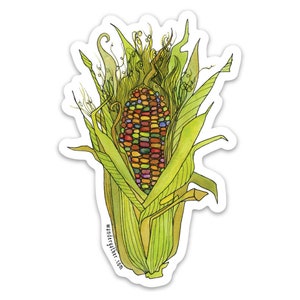 Maize Corn Vegetable Vinyl Sticker, Cute Funny Watercolor Illustration image 1