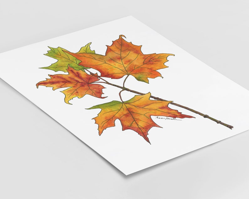 May include: A watercolor painting of three maple leaves in shades of orange, yellow, and green. The leaves are arranged in a cluster, with the stem extending to the right. The artist's signature is visible in the lower right corner.