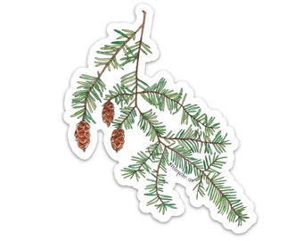 Hemlock Evergreen Vinyl Sticker, Watercolor Botanical Illustration