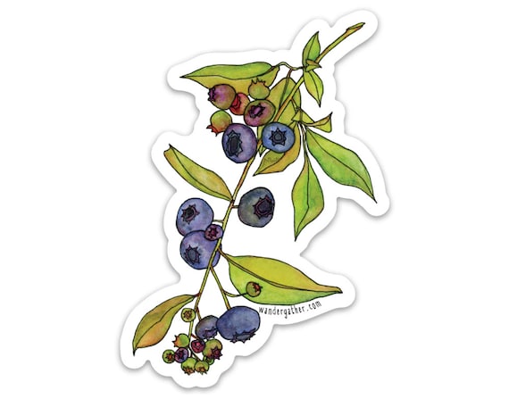 Berry Cute Vinyl Berry Cute Vinyl