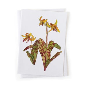 NEW: Yellow Trout Lily Spring Ephemeral Wildflower Botanical Illustration Card, Native Plants, Sustainably Printed Recycled Stationery image 1