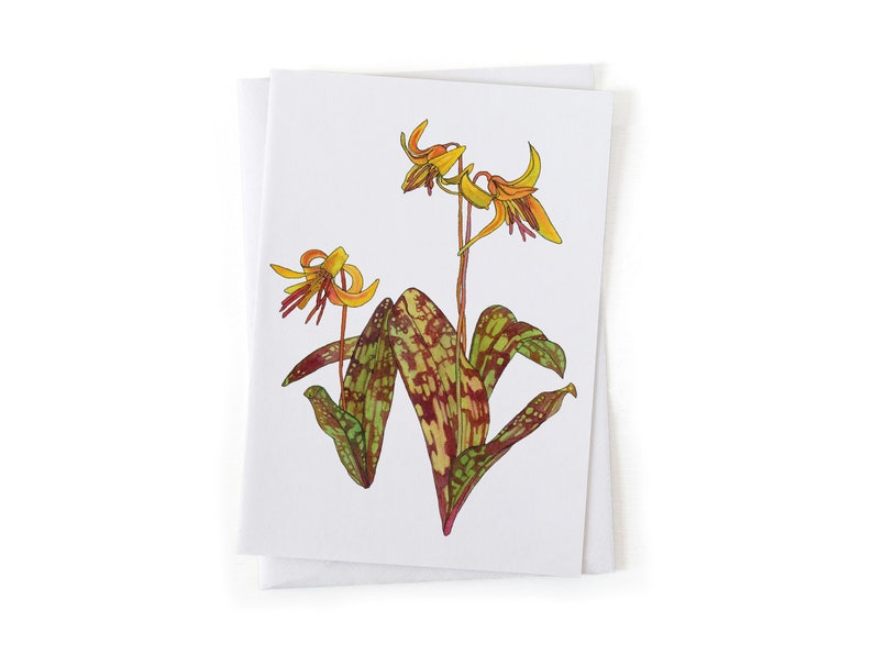 NEW: Yellow Trout Lily Spring Ephemeral Wildflower Botanical Illustration Card, Native Plants, Sustainably Printed Recycled Stationery image 1