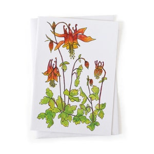 Puede incluir: Una ilustraci&oacute;n de acuarela de un grupo de flores de aquilegia naranja y roja con hojas verdes sobre un fondo blanco.