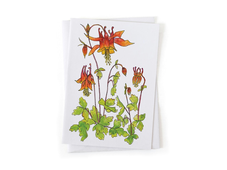 Puede incluir: Una ilustraci&oacute;n de acuarela de un grupo de flores de aquilegia naranja y roja con hojas verdes sobre un fondo blanco.