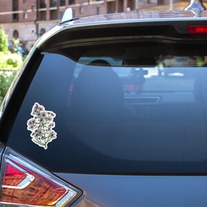 May include: A white car with a flower sticker on the rear window. The sticker depicts a bunch of white flowers with pink centres.