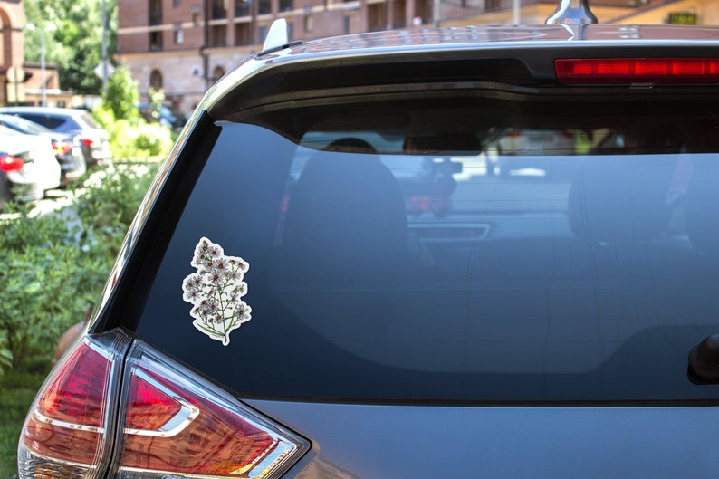 May include: A white car with a flower sticker on the rear window. The sticker depicts a bunch of white flowers with pink centres.