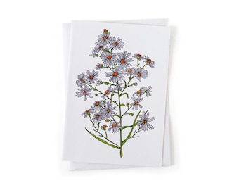 NEW: Frost Aster Summer Wildflower Botanical Illustration Card, Native Plants, Sustainably Printed Recycled Stationery
