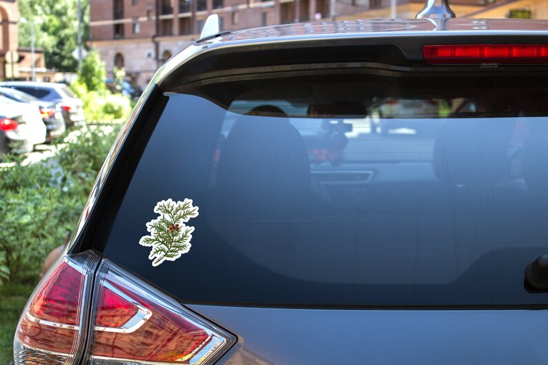 May include: A green and brown evergreen branch with red berries, printed on a white sticker, is displayed on the back window of a silver car.
