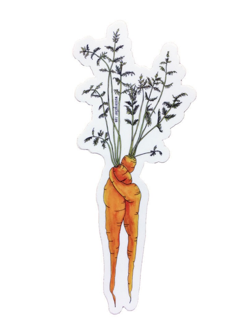 Carrot Hug Vegetable Vinyl Sticker, Cute Funny Watercolor Illustration image 2