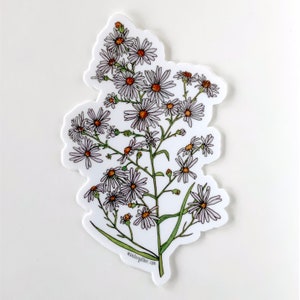 May include: A sticker featuring a white flower with a yellow centre and green stem. The flower is surrounded by other white flowers with yellow centres and green stems. The sticker is on a white background. The text "wandergather.com" is at the bottom of the sticker.