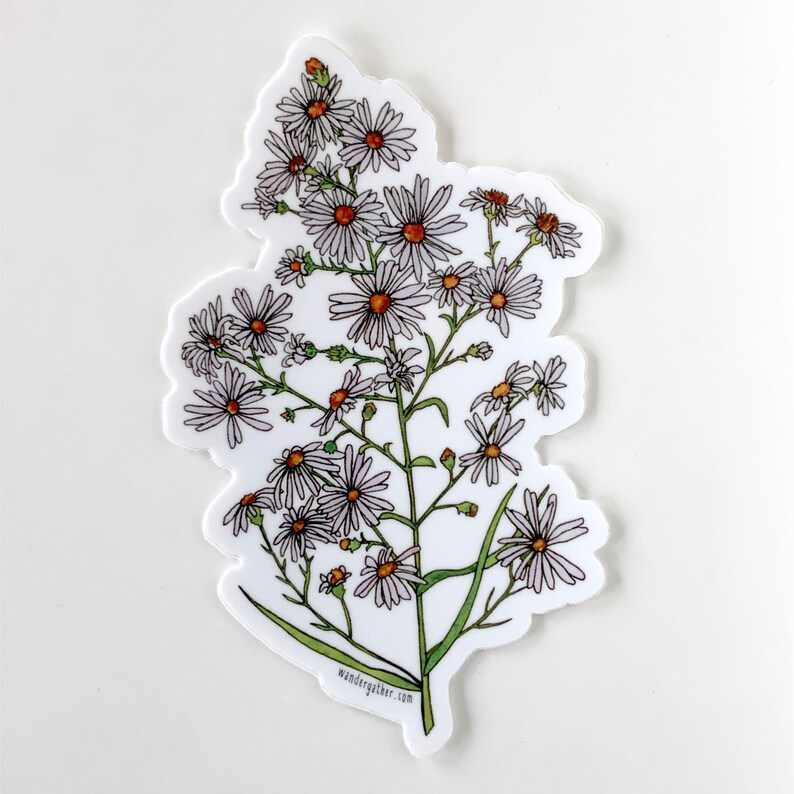 May include: A sticker featuring a white flower with a yellow centre and green stem. The flower is surrounded by other white flowers with yellow centres and green stems. The sticker is on a white background. The text "wandergather.com" is at the bottom of the sticker.