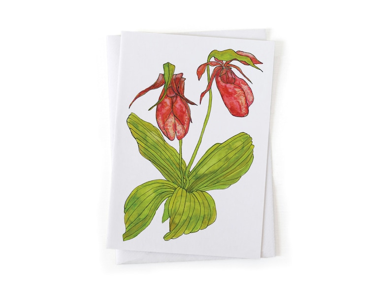 Puede incluir: Una tarjeta de felicitaci&oacute;n con una ilustraci&oacute;n dibujada a mano de dos flores de zapatilla de dama rosa con hojas verdes.