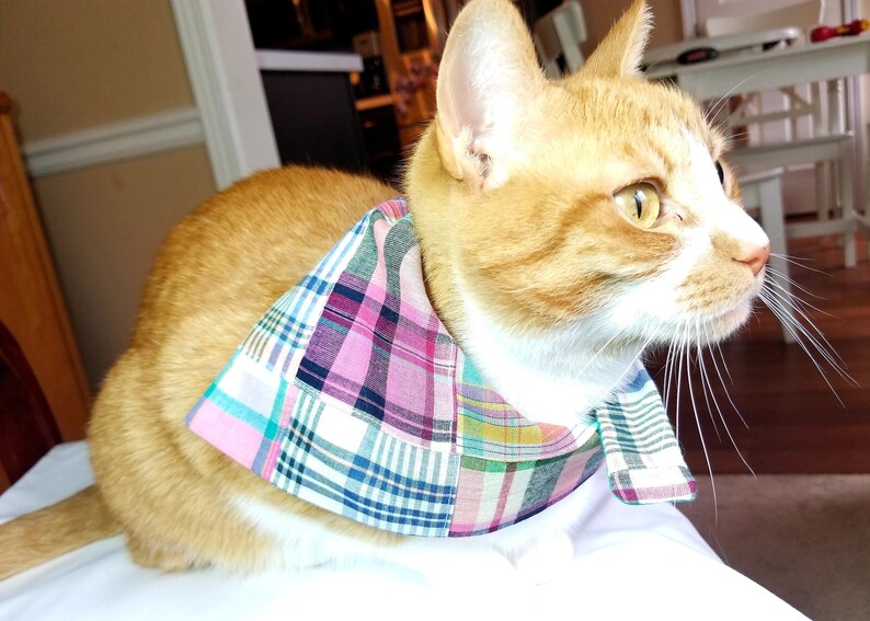 Clemson Cat Bandana Tigers Bandana Clemson University Dog Bandana College Bandana Clemson University Pet Bandana