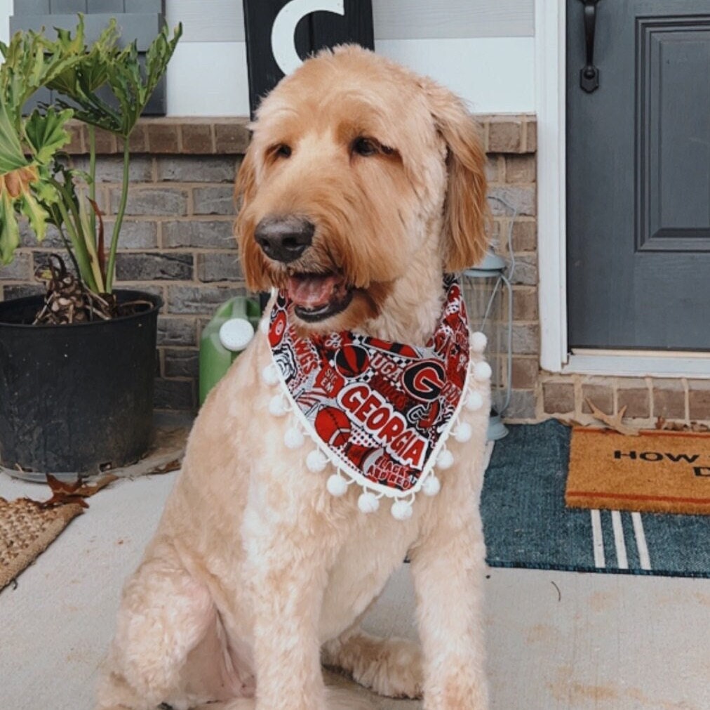 Uga Buga Buga Scarf for Sale by JacobBrittCarr