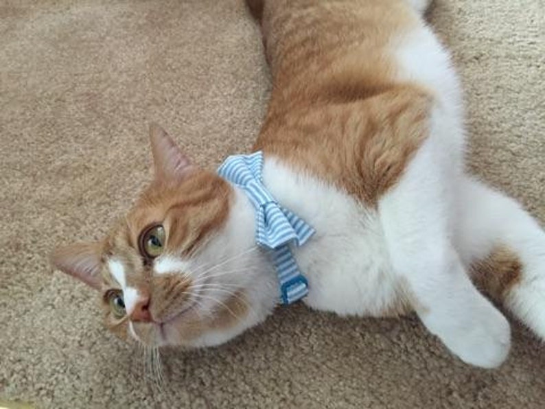 Easter Cat Bow Tie Collar Green Seersucker Cat Bow Tie Collar Preppy Cat Collar with Bell and Bow Tie Spring Cat Collar and Bow