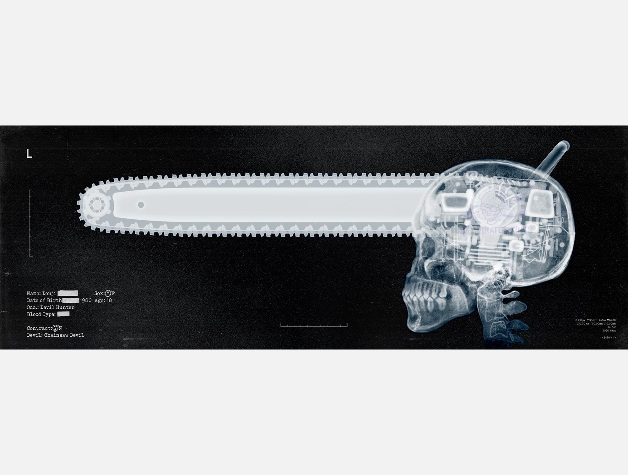 Chainsaw Skull X-ray Print - A2 / 23.6
