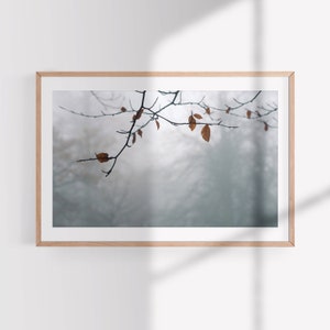 May include: A framed photograph of a branch with brown leaves against a blurry background of trees and fog.