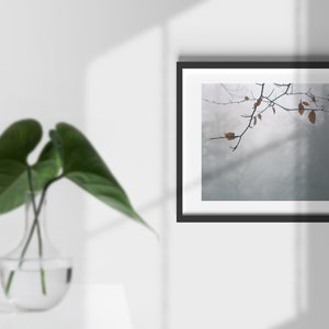 May include: A framed photograph of a bare tree branch with a few brown leaves against a light gray background.