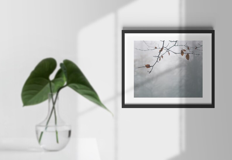 May include: A framed photograph of a bare tree branch with a few brown leaves against a light gray background.