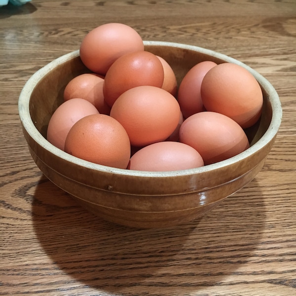 Brown eggs, ** I Do NOT SHIP EGGS** farm fresh, poultry, protein,  shell, chicken **LoCaL PiCKup OnLy**