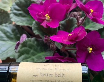 Belly BETTER! Digestion, bloating, cramps, stomach