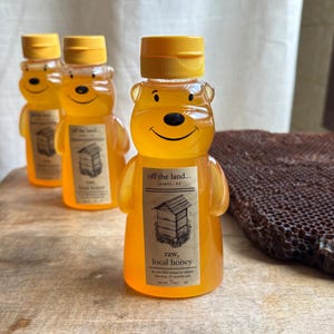 HONEY, HONEYBEAR, raw, local, unpasteurized, pure, lightly strained, healthy, sweet, goldenrod, wildflower, net wt 6 oz,