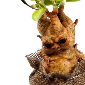 Op de afbeelding: Een klein, bruin, mensachtig figuur met grote ogen en een groene, bladerrijke plant die uit zijn hoofd groeit. Het figuur zit in een jutezak.