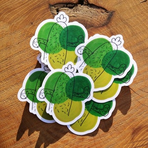 Sticker transparent pois vert cactus, Sticker bouteille d'eau en vinyle, Stickers imperméables, Stickers peinture originale, Aquarelle, Oregon