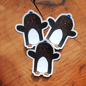 Punk Penguin Przezroczysta Naklejka, Przezroczysta Naklejka Winylowa, Naklejka Pingwin, Naklejka Punk, Uroczy Pingwin, Pingwin, Oregon, Naklejka