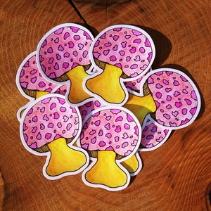 Sticker champignon amanite rose, champignons vénéneux, art champignon vénéneux, mycologie, sticker champignon vénéneux, peinture originale, aquarelle, Oregon, champignons