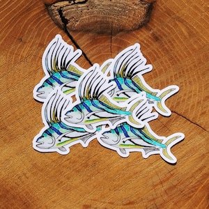 Rooster Fish Clear Sticker, Fish, Nature, Clear Sticker, Rooster Fish, Ocean, Tropical Fish, Ocean Fish