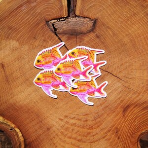 Pink Fish Clear Sticker, Fish, Nature, Clear Sticker, Ocean, Tropical Fish, Ocean Fish, Pink Fish, Nature Fish, Colorful Fish