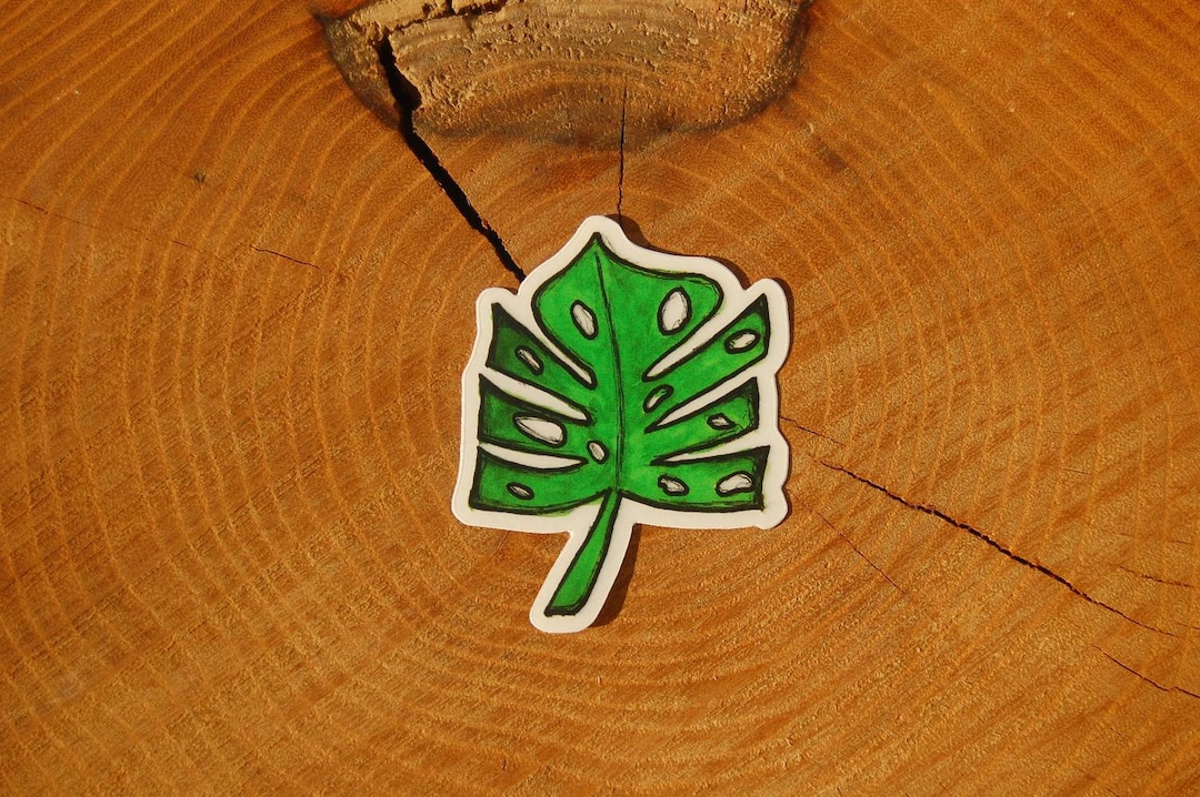 Monstera Deliciousa Sticker - Etsy
