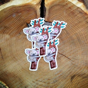 Koala Bear on Eucalyptus Branch Sticker, Koala Sticker, Koala, Eucalyptus, Nature Stickers, Animal Stickers, Koala Bear, Cute Koala Sticker