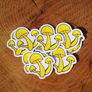 Yellow Knobbed Mushroom Cluster Sticker, Vinyl Water Bottle Sticker, Water Proof Stickers, Original Painting Stickers, Watercolor Art
