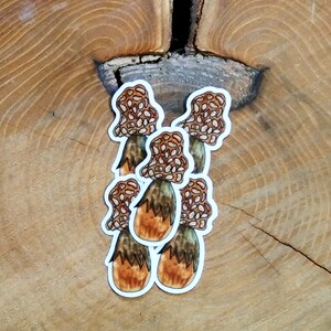 Dark Brown Morel Mushroom Clear Sticker, Vinyl Water Bottle Sticker, Morel, Water Proof Stickers, Original Painting Stickers,  Oregon