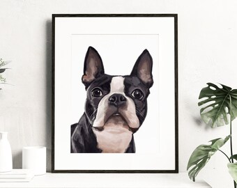 Boston Terrier Portrait - 8x10